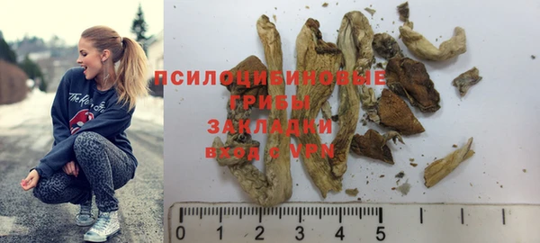 дурь Алзамай
