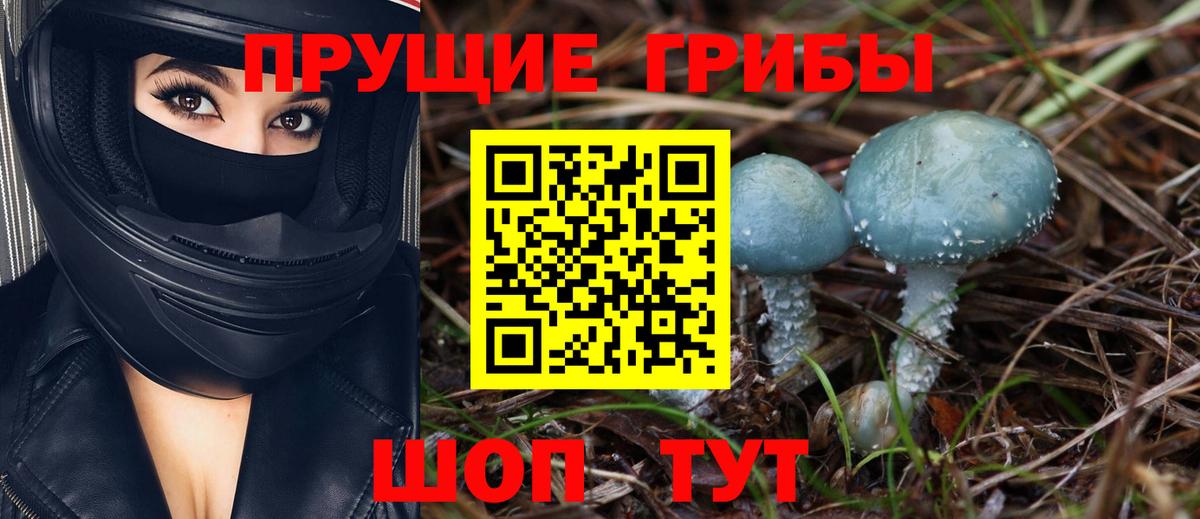 Галлюциногенные грибы ЛСД Чайковский