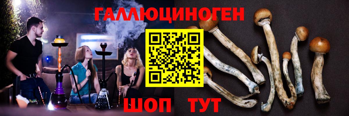 Чайковский  Псилоцибиновые грибы Psilocybe  Вход с VPN  купить наркоту  Галлюциногенные грибы прущие грибы 